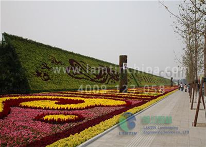 垂直綠化 垂直綠化