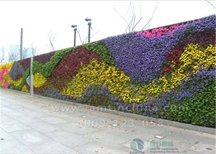 垂直綠化 垂直綠化