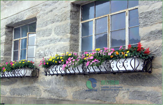 窗臺(tái)陽(yáng)臺(tái)綠化 窗臺(tái)陽(yáng)臺(tái)綠化