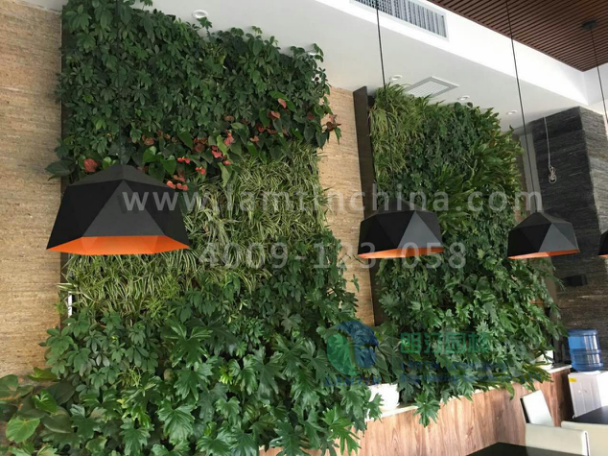 植物墻 植物墻