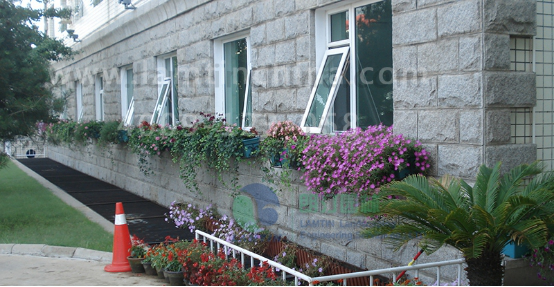 窗臺陽臺綠化 窗臺陽臺綠化