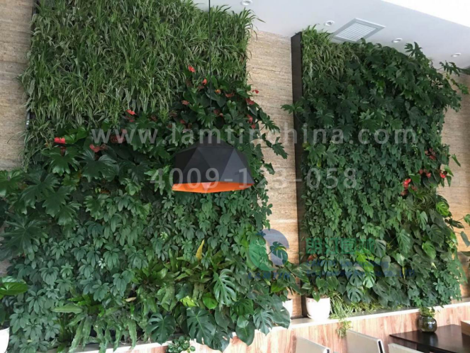 植物墻 植物墻