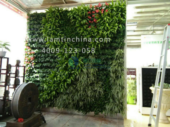 植物墻 植物墻