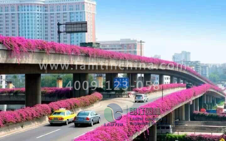 高架橋花盆 高架橋花盆