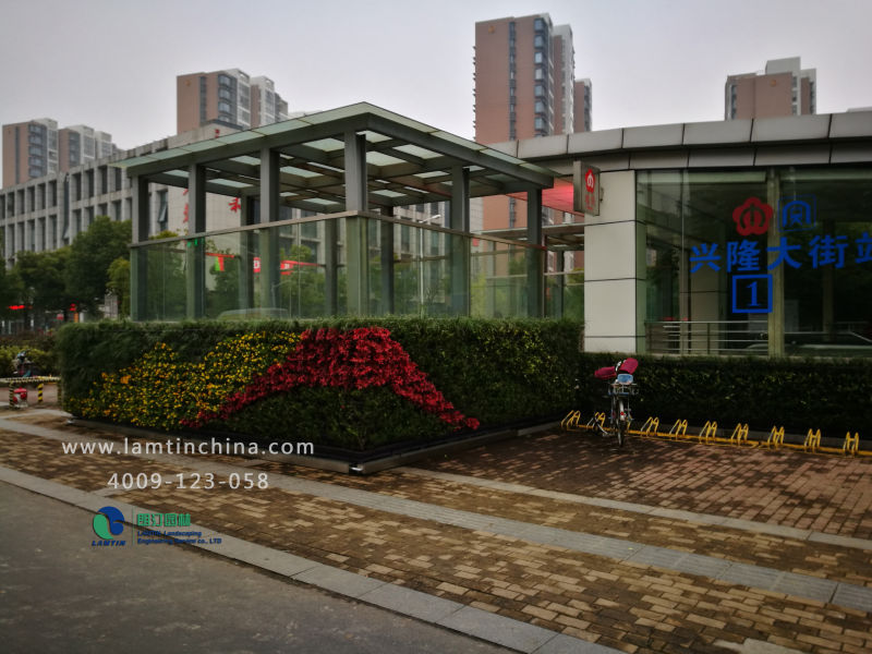 墻體綠化 墻體綠化