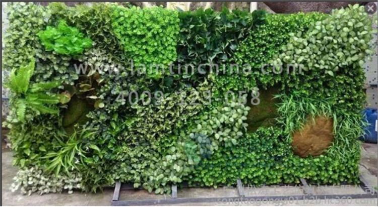墻體綠化 墻體綠化