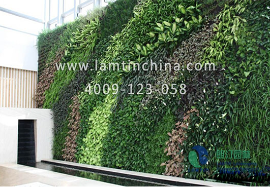 植物墻 植物墻