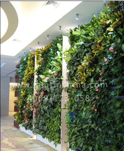 室內(nèi)植物墻 室內(nèi)植物墻