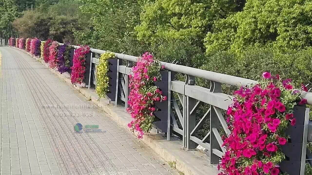 護(hù)欄綠化