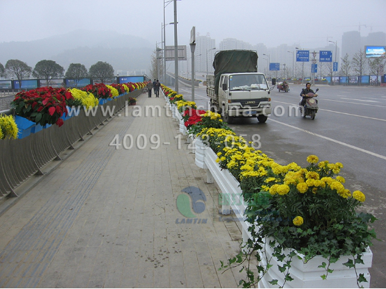 道路花箱 道路花箱