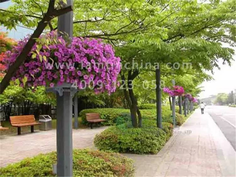 燈桿綠化 燈桿綠化