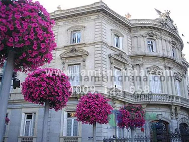 燈桿綠化 燈桿綠化