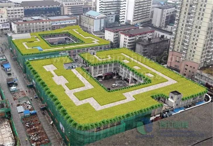 屋頂綠化 屋頂綠化