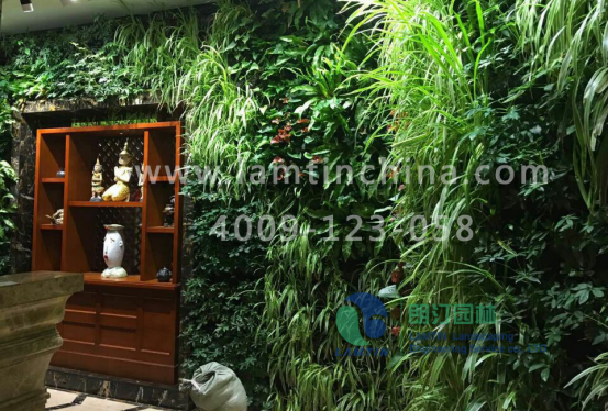 植物墻 植物墻