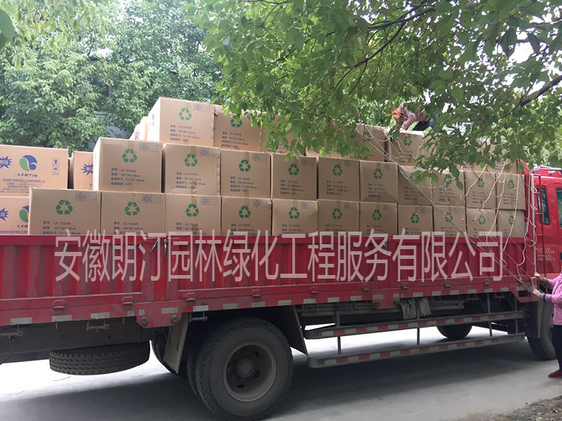 梯形花盆 梯形花盆