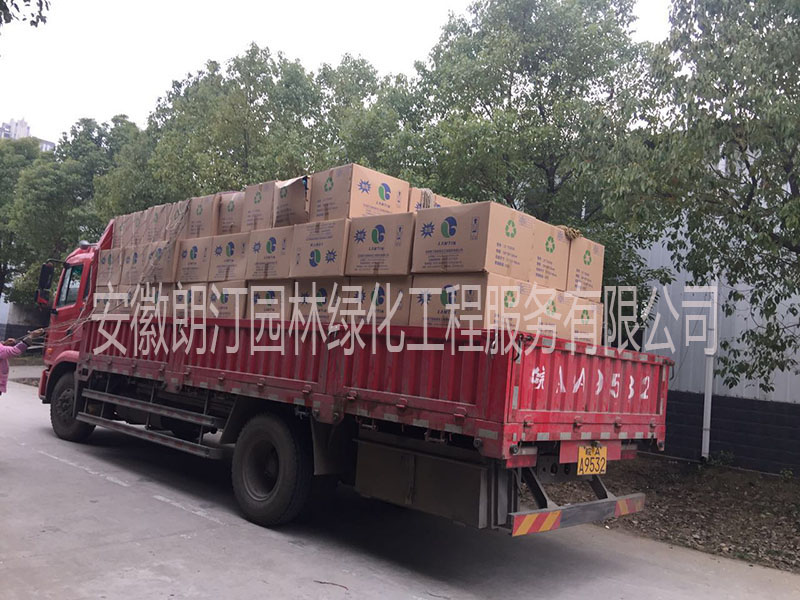 梯形花盆 梯形花盆