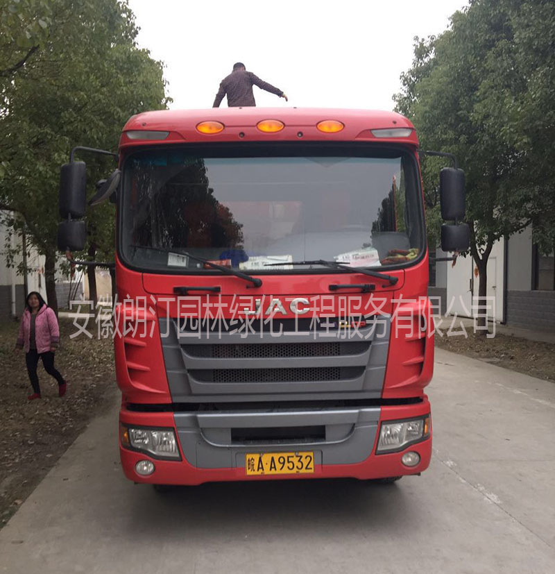 梯形花盆 梯形花盆