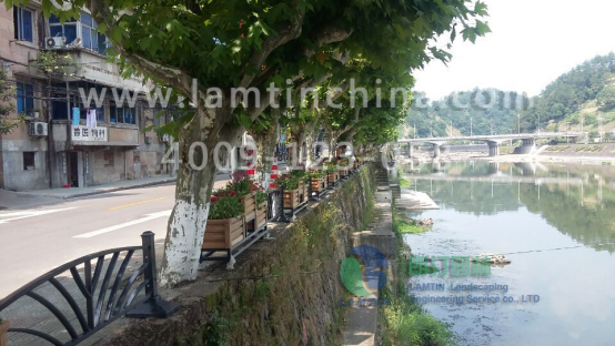 立體綠化 立體綠化