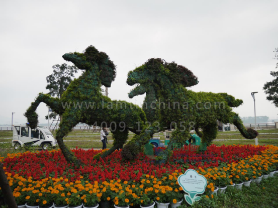 植物綠雕 植物綠雕