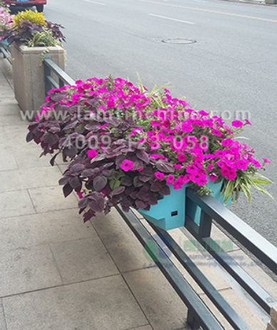 鞍式花盆 鞍式花盆