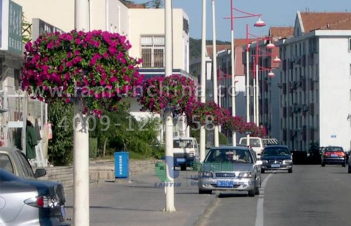 燈桿綠化 燈桿綠化