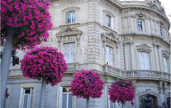 燈桿綠化 燈桿綠化