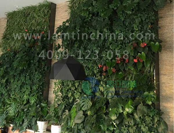 仿真植物墻 仿真植物墻