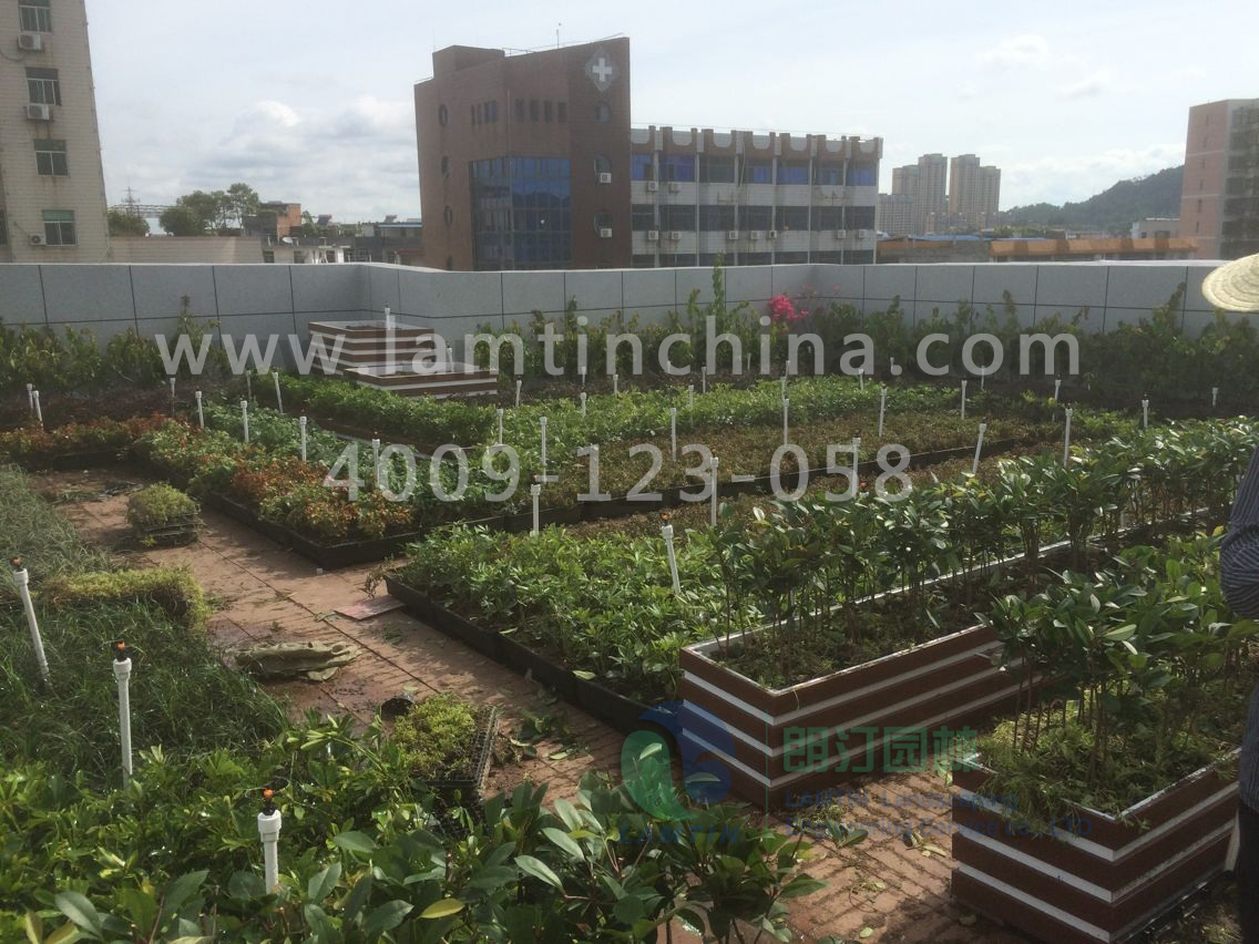 屋頂綠化 屋頂綠化