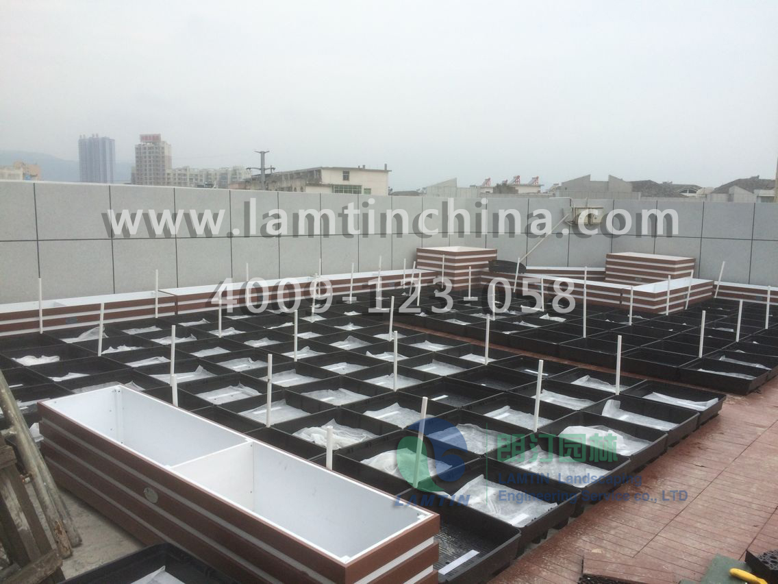 屋頂綠化 屋頂綠化