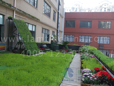 屋頂綠化 屋頂綠化