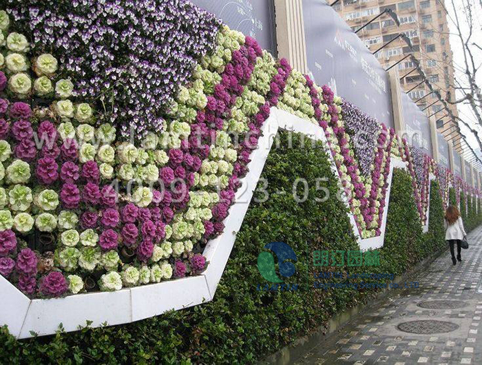 植物墻 植物墻