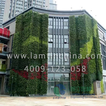 植物墻 植物墻