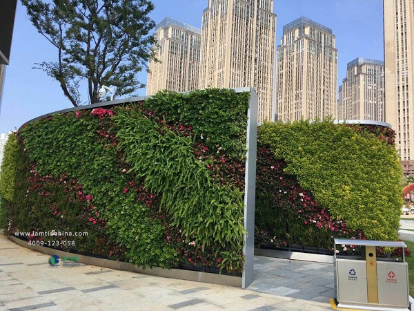 植物墻 植物墻