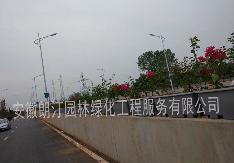 高架橋花盆 高架橋花盆