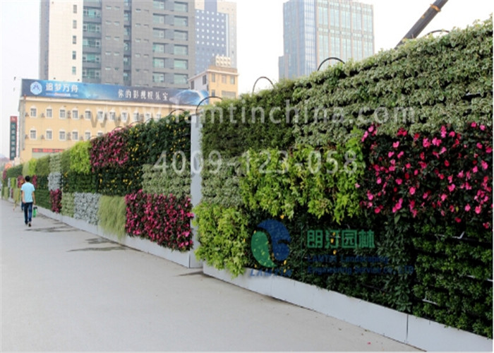 植物墻 植物墻