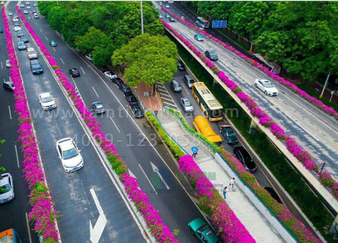 高架橋綠化 高架橋綠化