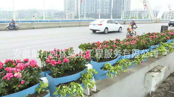 護(hù)欄花盆 護(hù)欄花盆