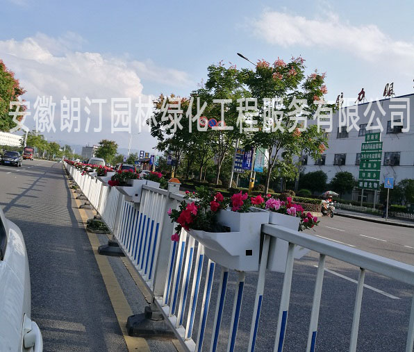 鞍馬花盆 鞍馬花盆