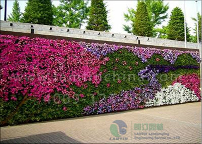 植物墻 植物墻