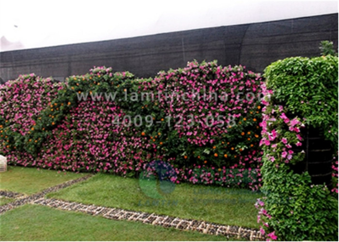 植物墻 植物墻
