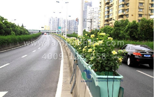 高架橋綠化 高架橋綠化