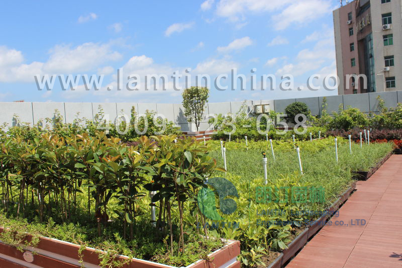 立體綠化 立體綠化