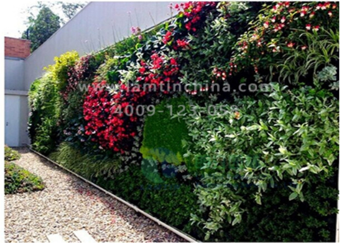 植物墻 植物墻