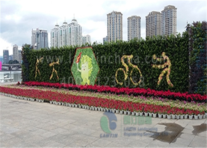 植物墻 植物墻