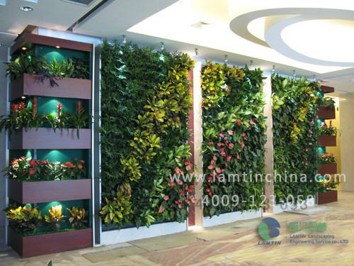 室內(nèi)植物墻 室內(nèi)植物墻