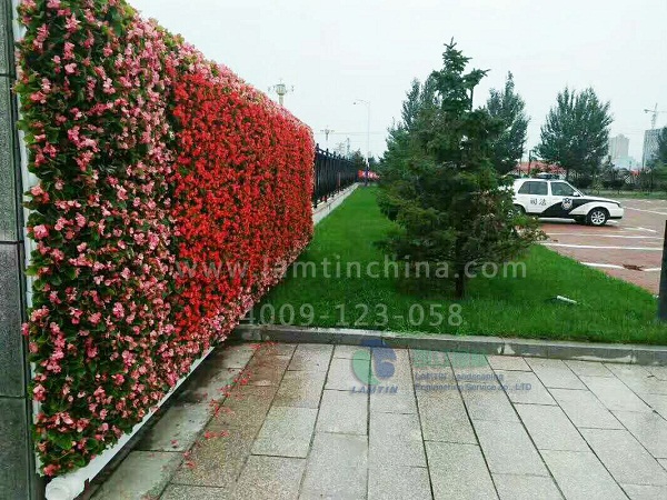 立體綠化 立體綠化