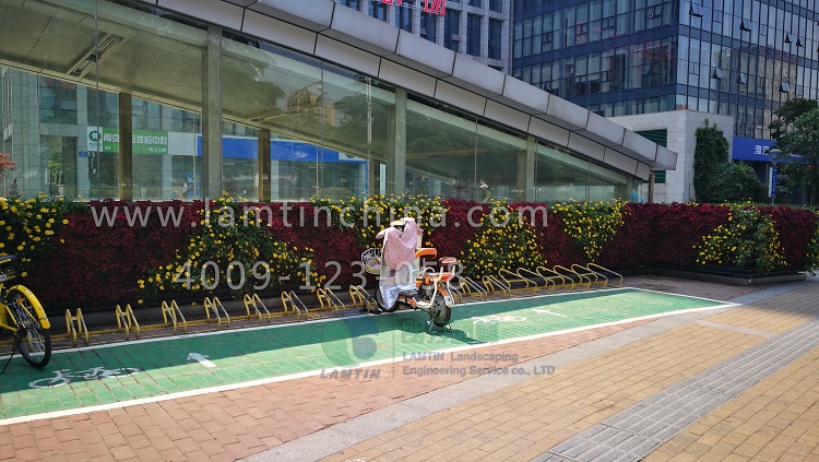 植物墻花盆 植物墻花盆