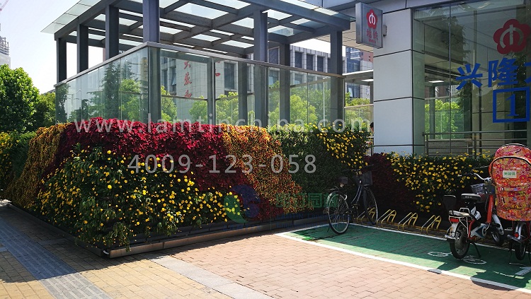 植物墻 植物墻