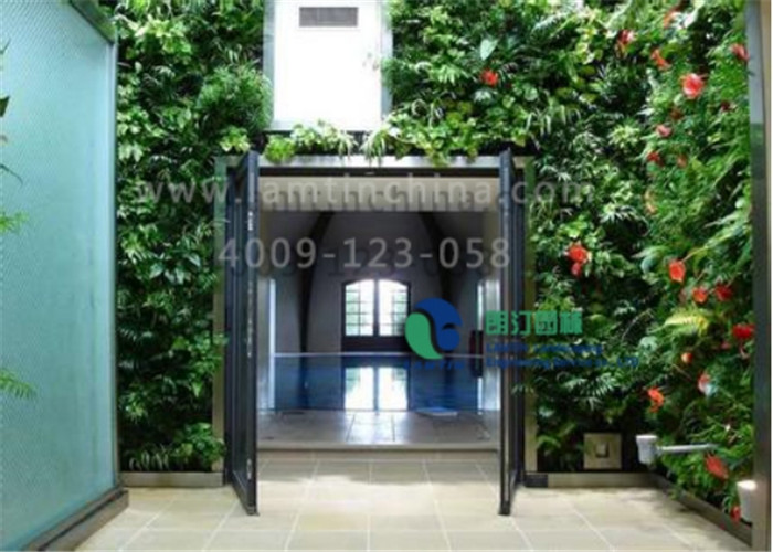 墻體綠化 墻體綠化