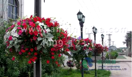 燈桿綠化花盆 燈桿綠化花盆